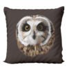 coussin-1
